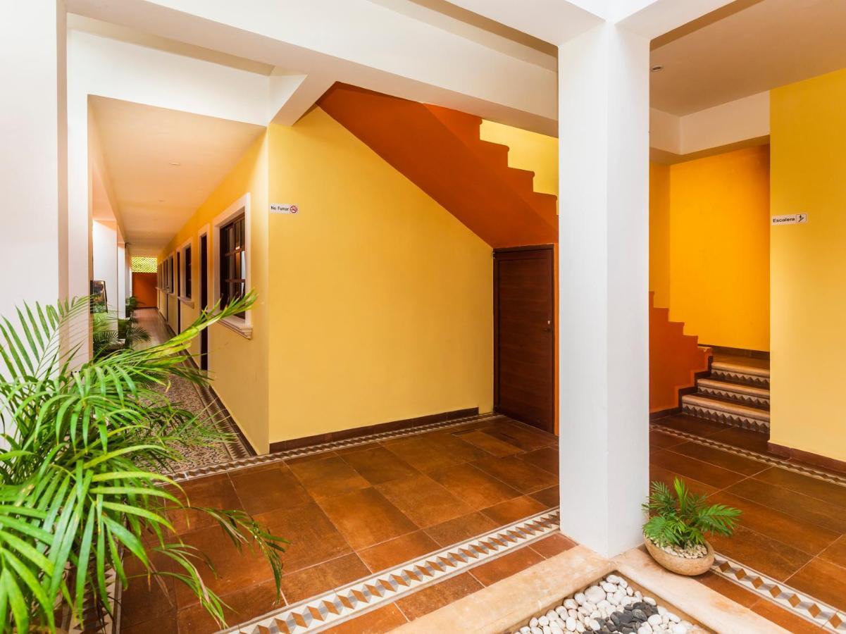 Hotel Beach Don Gonzalo سيليستون المظهر الخارجي الصورة